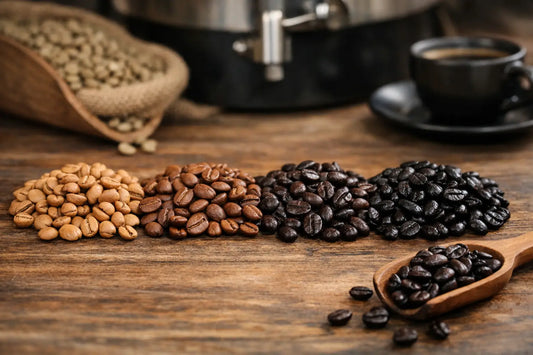 Coffee Bean Roast Levels Explained